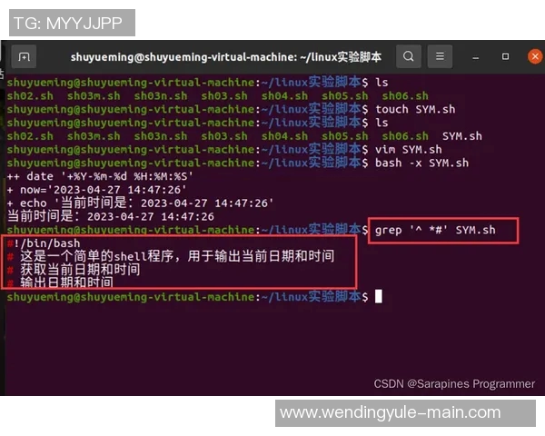 pg问鼎下载链接-PG问鼎，探索下载链接的奥秘-pg问鼎下载链接